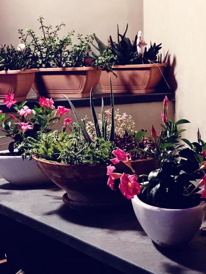Borgo Antico B&B Foggia Eksteriør bilde